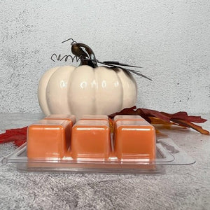 The bottom of a clamshell showing orange wax melts displayed in front of a pumpkin and fall leaves.